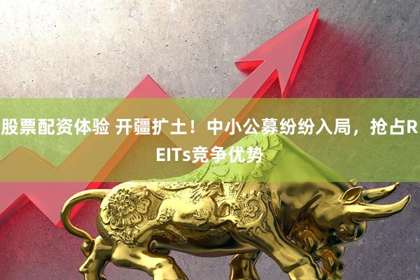 股票配资体验 开疆扩土！中小公募纷纷入局，抢占REITs竞争优势