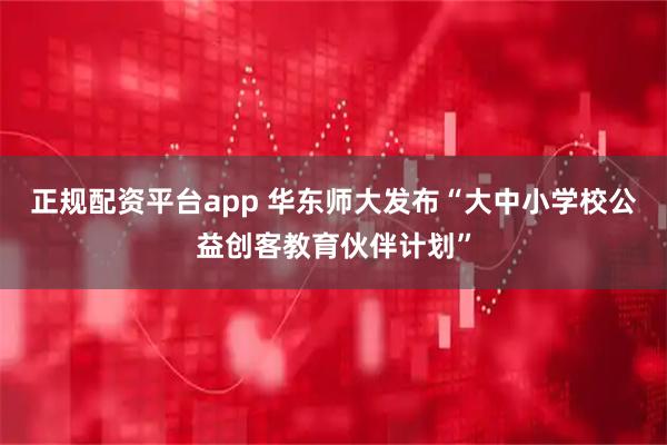 正规配资平台app 华东师大发布“大中小学校公益创客教育伙伴计划”
